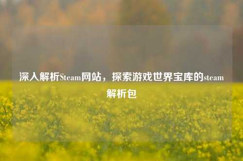 深入解析Steam网站，探索游戏世界宝库的steam解析包