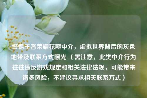 警惕王者荣耀花瓣中介,虚拟世界背后的灰色地带及联系方式曝光 (需注意,此类中介行为往往违反游戏规定和相关法律法规,可能带来诸多风险,不建议寻求相关联系方式)