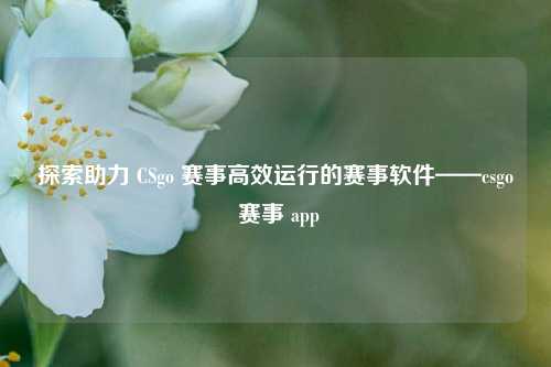 探索助力 CSgo 赛事高效运行的赛事软件——csgo 赛事 app