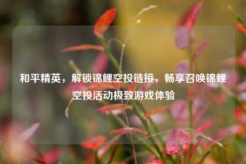 和平精英,解锁锦鲤空投链接,畅享召唤锦鲤空投活动极致游戏体验