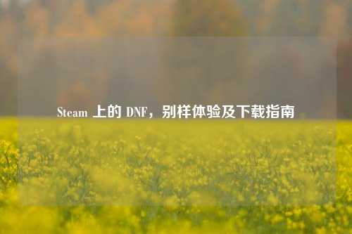 Steam 上的 DNF,别样体验及下载指南