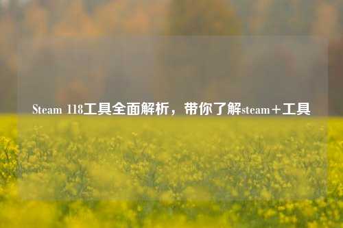 Steam 118工具全面解析,带你了解steam+工具