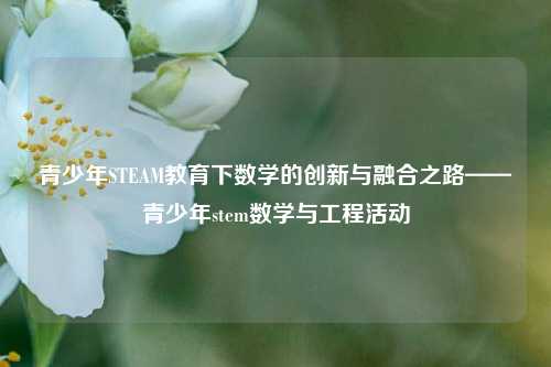青少年STEAM教育下数学的创新与融合之路——青少年stem数学与工程活动