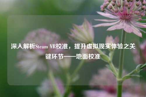 深入解析Steam VR校准,提升虚拟现实体验之关键环节——地面校准