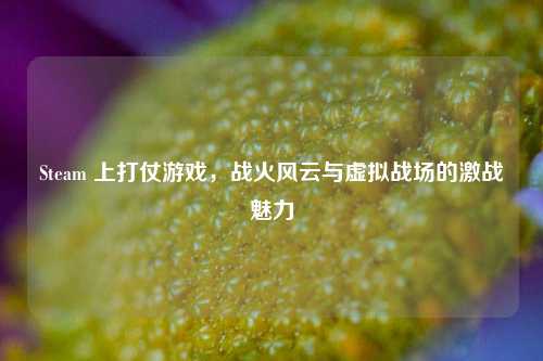 Steam 上打仗游戏,战火风云与虚拟战场的激战魅力