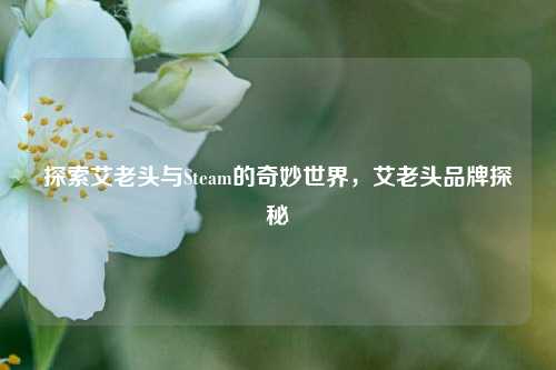 探索艾老头与Steam的奇妙世界,艾老头品牌探秘