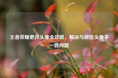 王者荣耀更改头像全攻略,解决与微信头像不一致问题