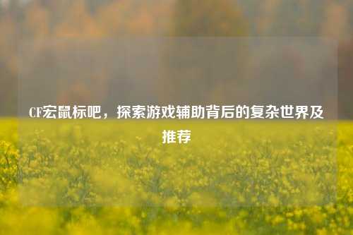 CF宏鼠标吧，探索游戏辅助背后的复杂世界及推荐