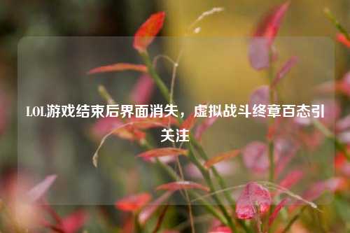 LOL游戏结束后界面消失，虚拟战斗终章百态引关注