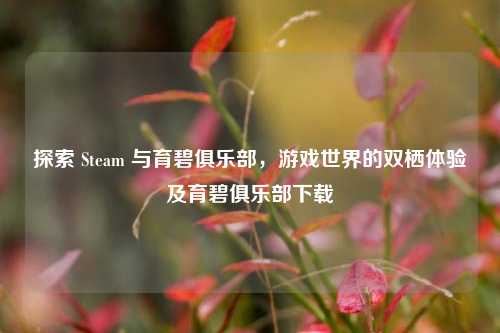 探索 Steam 与育碧俱乐部，游戏世界的双栖体验及育碧俱乐部下载