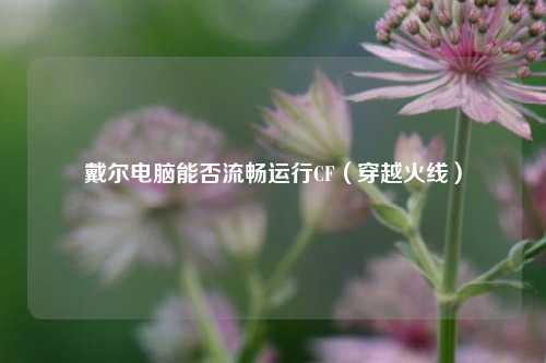 戴尔电脑能否流畅运行CF(穿越火线)