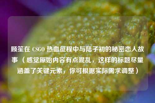 顾笙在 CSGO 热血征程中与陆子初的秘密恋人故事 (感觉原始内容有点混乱,这样的标题尽量涵盖了关键元素,你可根据实际需求调整)