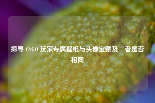 探寻 CSGO 玩家专属壁纸与头像宝藏及二者是否相同