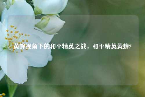黄蜂视角下的和平精英之战，和平精英黄蜂2
