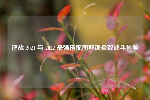 逆战 2021 与 2022 最强搭配图解锁极致战斗体验