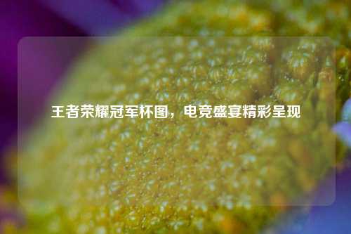 王者荣耀冠军杯图，电竞盛宴精彩呈现