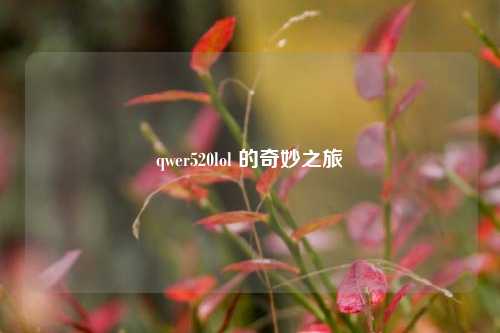 qwer520lol 的奇妙之旅