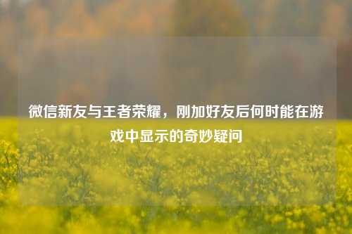 微信新友与王者荣耀,刚加好友后何时能在游戏中显示的奇妙疑问