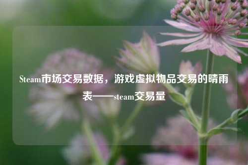 Steam市场交易数据,游戏虚拟物品交易的晴雨表——steam交易量