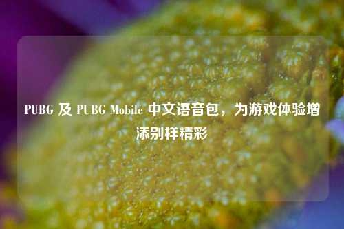 PUBG 及 PUBG Mobile 中文语音包，为游戏体验增添别样精彩