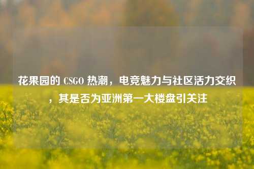 花果园的 CSGO 热潮,电竞魅力与社区活力交织,其是否为亚洲第一大楼盘引关注