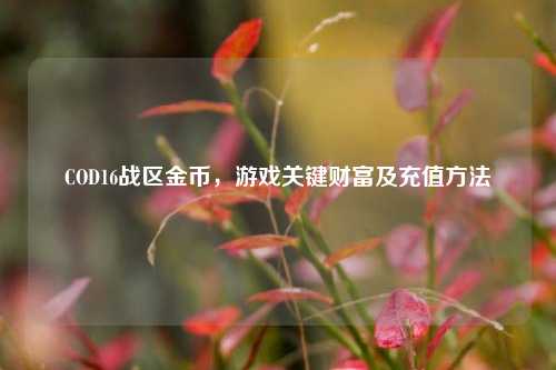 COD16战区金币,游戏关键财富及充值方法