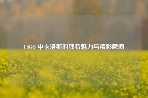 CSGO 中卡洛斯的独特魅力与精彩瞬间