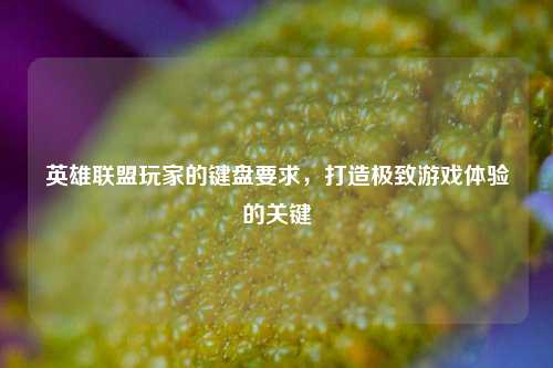 英雄联盟玩家的键盘要求,打造极致游戏体验的关键