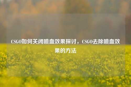 CSGO如何关闭喷血效果探讨,CSGO去除喷血效果的方法