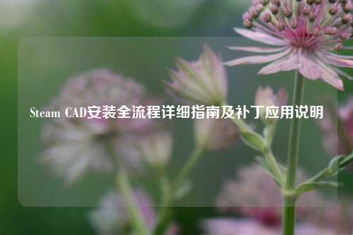 Steam CAD安装全流程详细指南及补丁应用说明