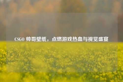 CSGO 帅哥壁纸，点燃游戏热血与视觉盛宴