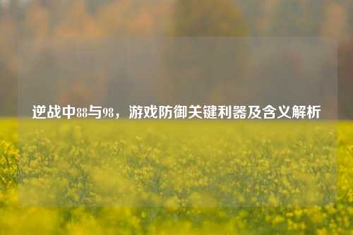 逆战中88与98,游戏防御关键利器及含义解析