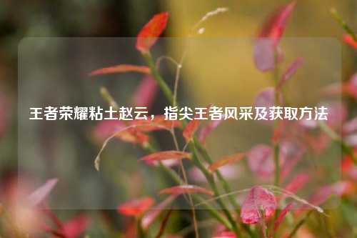 王者荣耀粘土赵云，指尖王者风采及获取方法