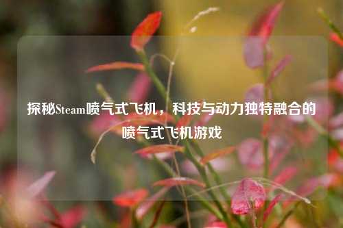 探秘Steam喷气式飞机,科技与动力独特融合的喷气式飞机游戏