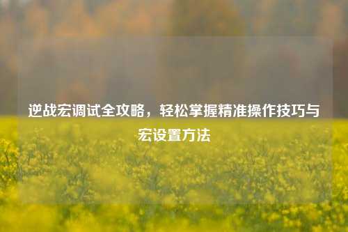 逆战宏调试全攻略，轻松掌握精准操作技巧与宏设置方法