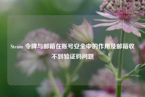 Steam 令牌与邮箱在账号安全中的作用及邮箱收不到验证码问题