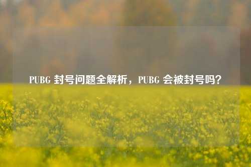 PUBG 封号问题全解析,PUBG 会被封号吗?