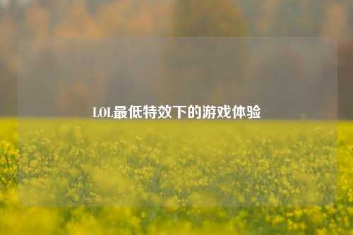 LOL最低特效下的游戏体验