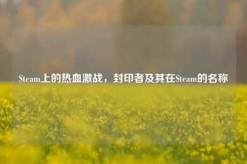 Steam上的热血激战，封印者及其在Steam的名称