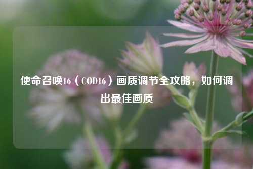 使命召唤16(COD16)画质调节全攻略,如何调出最佳画质