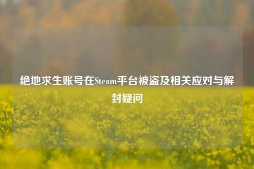 绝地求生账号在Steam平台被盗及相关应对与解封疑问