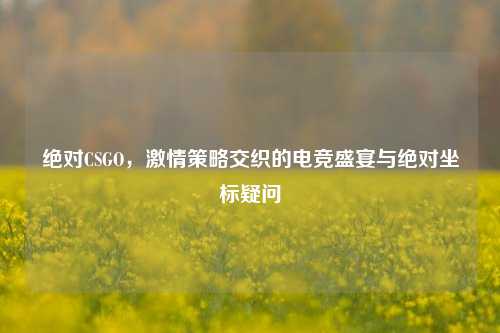 绝对CSGO,激情策略交织的电竞盛宴与绝对坐标疑问