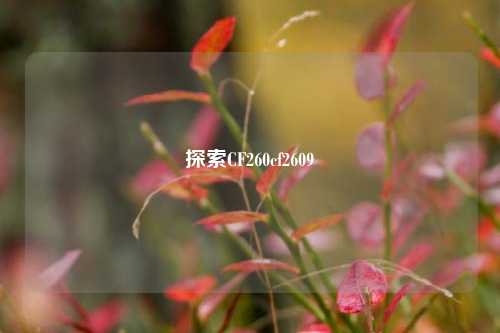 探索CF260cf2609