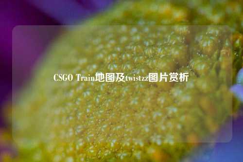 CSGO Train地图及twistzz图片赏析