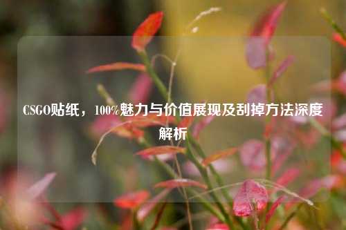 CSGO贴纸，100%魅力与价值展现及刮掉方法深度解析