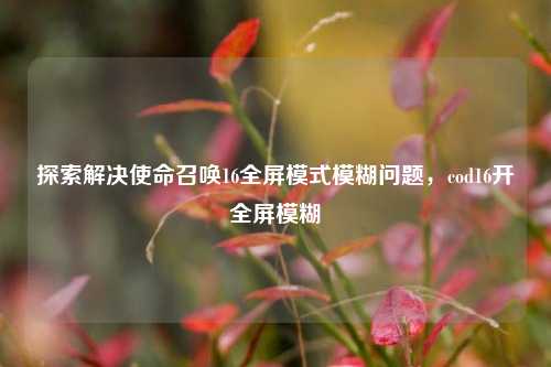 探索解决使命召唤16全屏模式模糊问题,cod16开全屏模糊