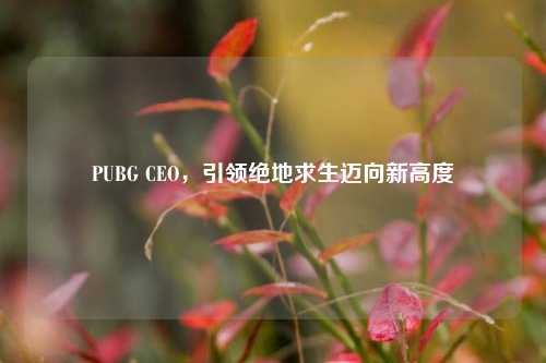 PUBG CEO，引领绝地求生迈向新高度