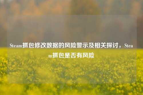 Steam抓包修改数据的风险警示及相关探讨,Steam抓包是否有风险