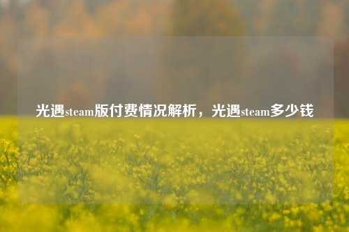 光遇steam版付费情况解析，光遇steam多少钱