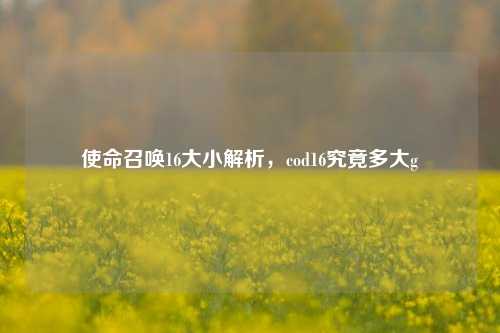 使命召唤16大小解析，cod16究竟多大g